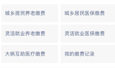 医疗保险怎么交费？？