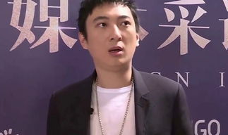 娱乐圈隐形富豪,揭秘不为人知的财富传奇
