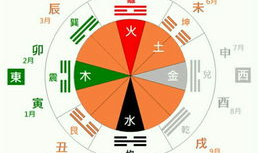 五行八卦免费算命,揭秘命运奥秘的神秘算命之旅